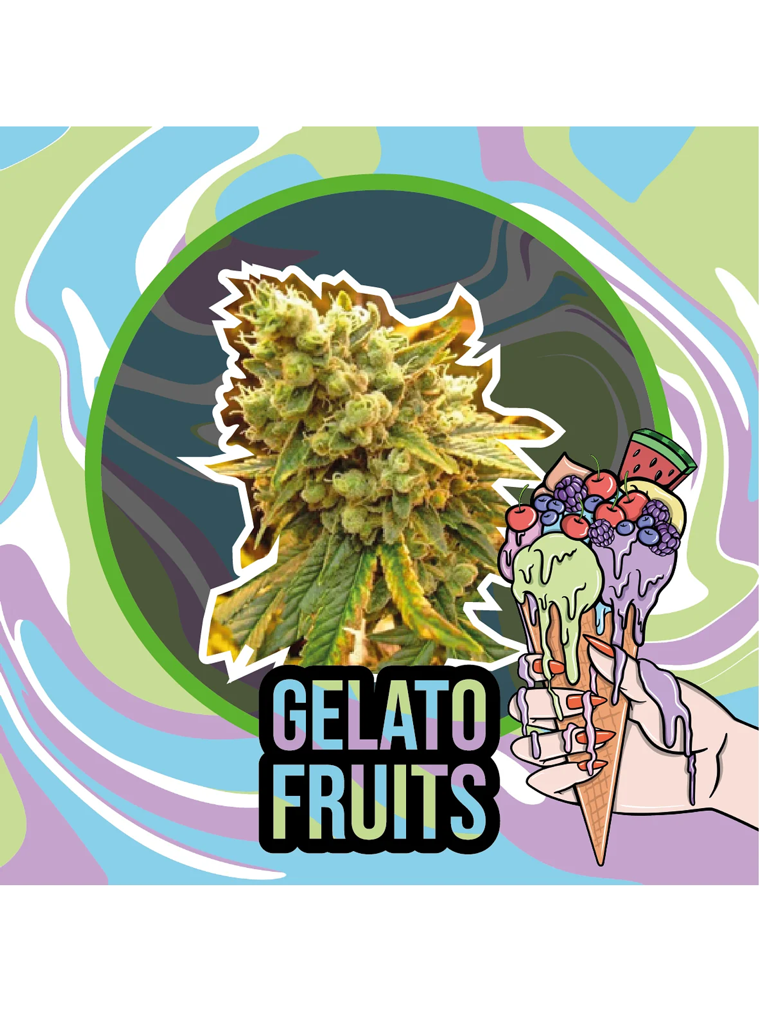 Gelato Fruits Auto -Delirium Seeds (X2/X1) 1