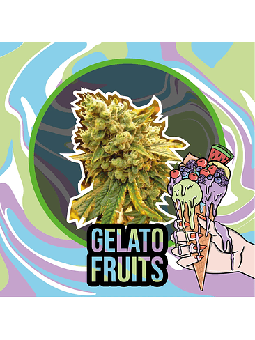 GELATO FRUITS AUTO X2-DELIRIUM SEEDS 1