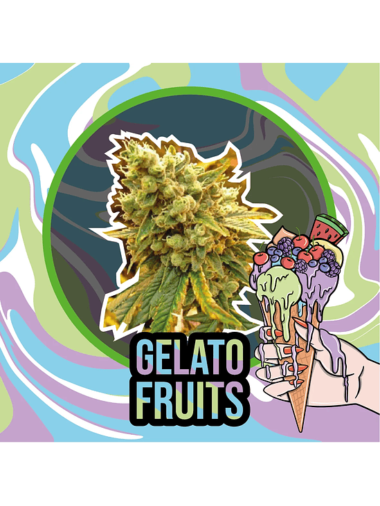 GELATO FRUITS AUTO X2-DELIRIUM SEEDS 1
