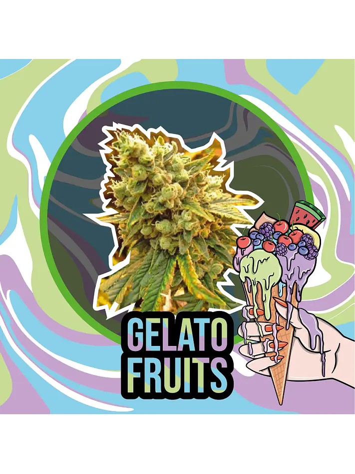 Gelato Fruits Auto -Delirium Seeds (X2/X1) 1