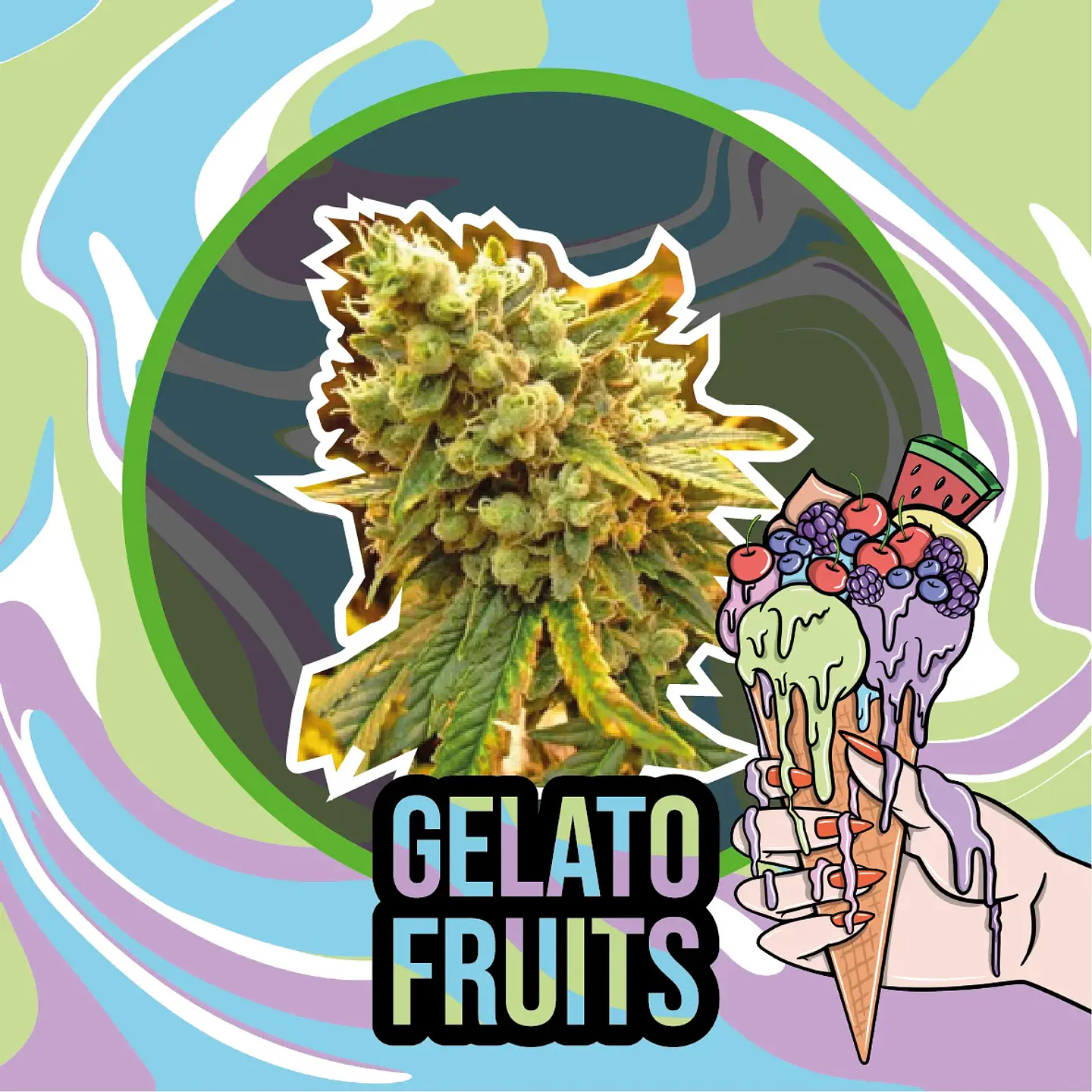 Gelato Fruits Auto -Delirium Seeds (X2/X1) 1