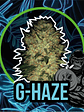 Gorilla Haze Fast Version X1-Delirium Seeds - Miniatura 1