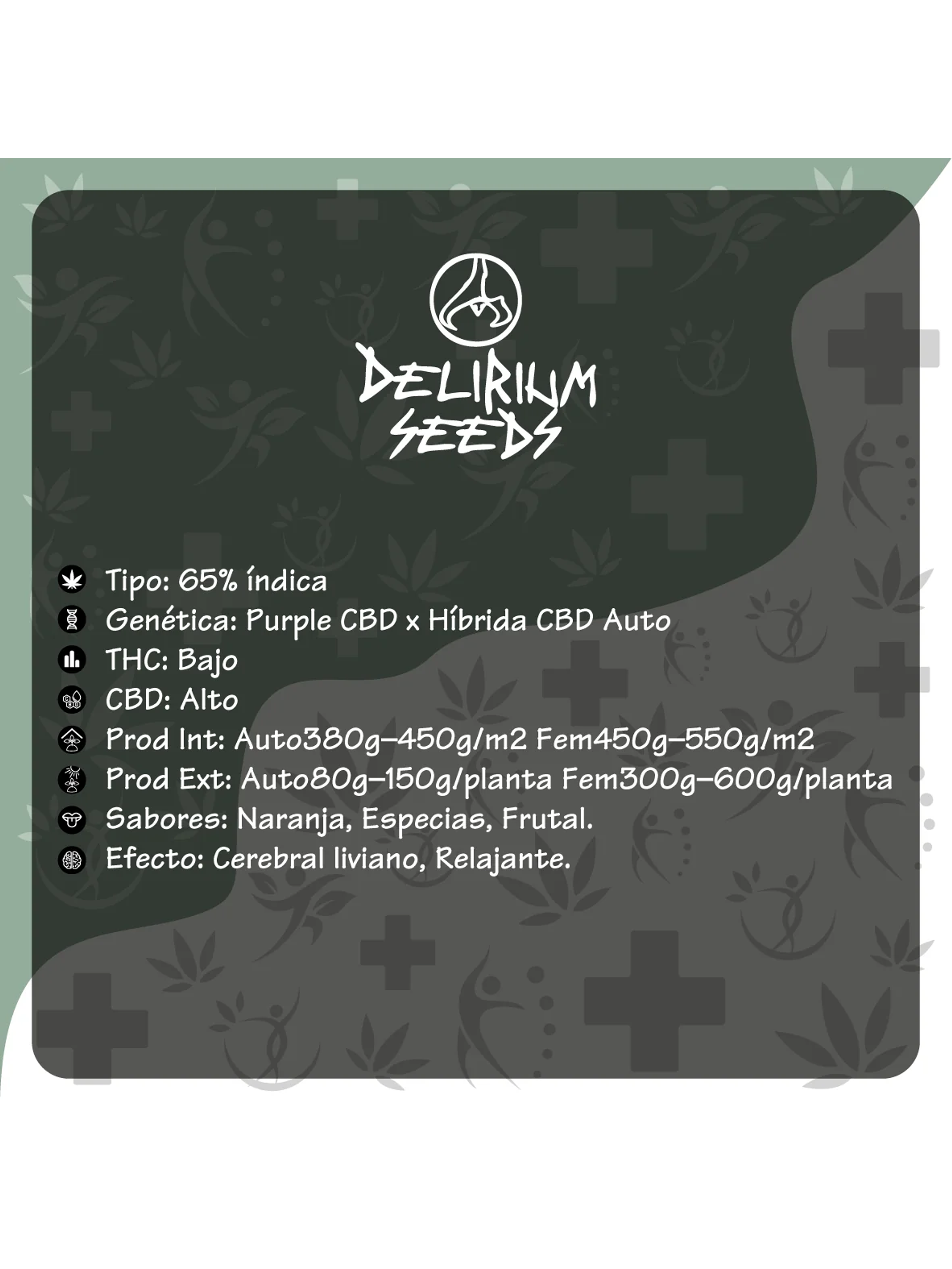 Medical Cbd Auto -Delirium Seeds (X2/X1) 2