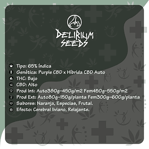 Medical Cbd Auto X2-Delirium Seeds