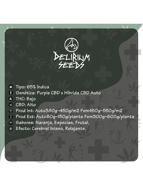 Medical Cbd Auto -Delirium Seeds (X2/X1) 2
