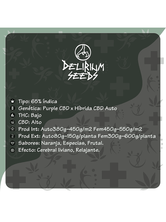 MEDICAL CBD AUTO X2-DELIRIUM SEEDS 2