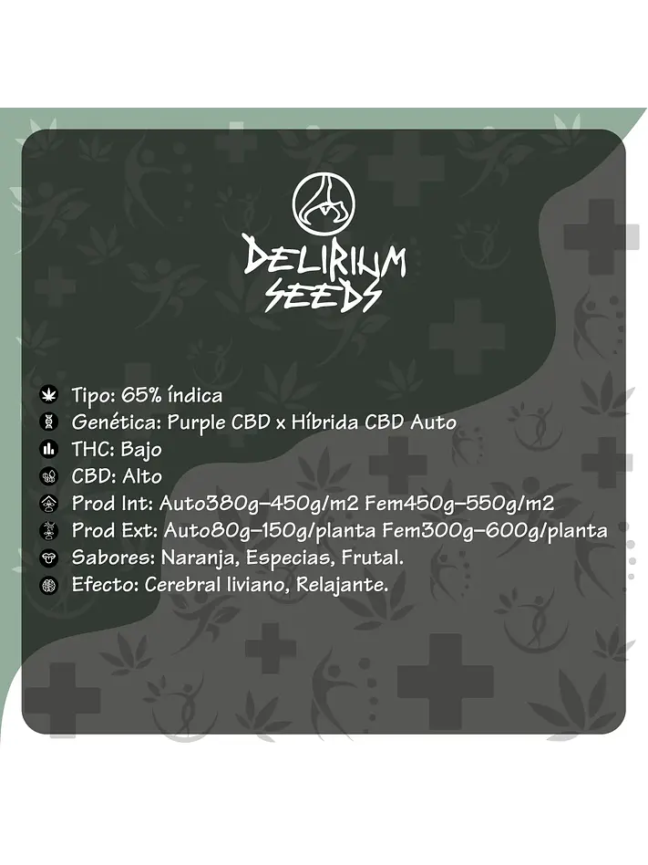 Medical Cbd Auto -Delirium Seeds (X2/X1) 2