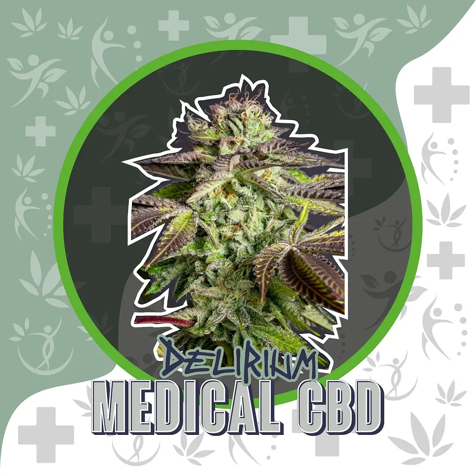 Medical Cbd Fem -Delirium Seeds (X4/X1) 1
