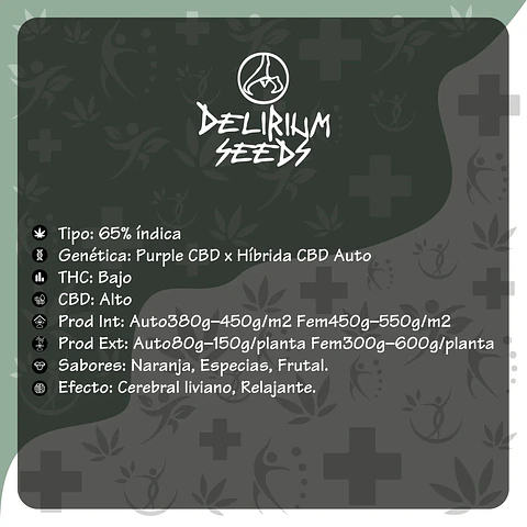 Medical Cbd Fem -Delirium Seeds (X4/X1)