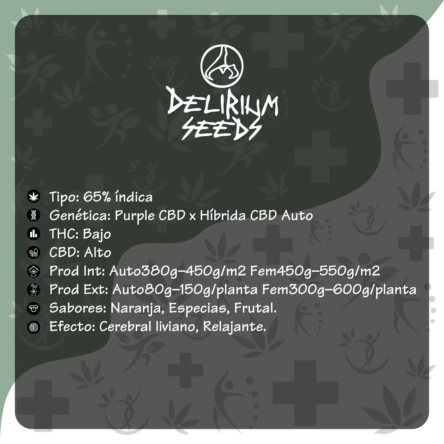 Medical Cbd Fem -Delirium Seeds (X4/X1) 2