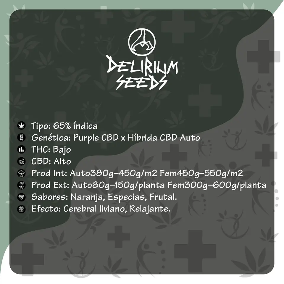 Medical Cbd Fem -Delirium Seeds (X4/X1) 2