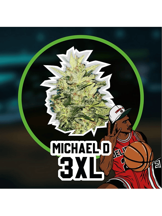 MICHAEL D 3XL AUTO X1-DELIRIUM SEEDS 1