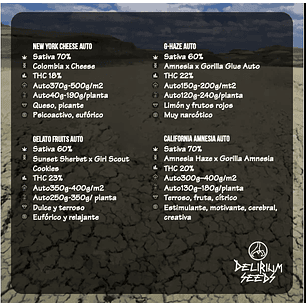 MIX DRY MOUTH LINE AUTO X14-DELIRIUM SEEDS