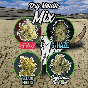 Mix Dry Mouth Line Auto X14-Delirium Seeds