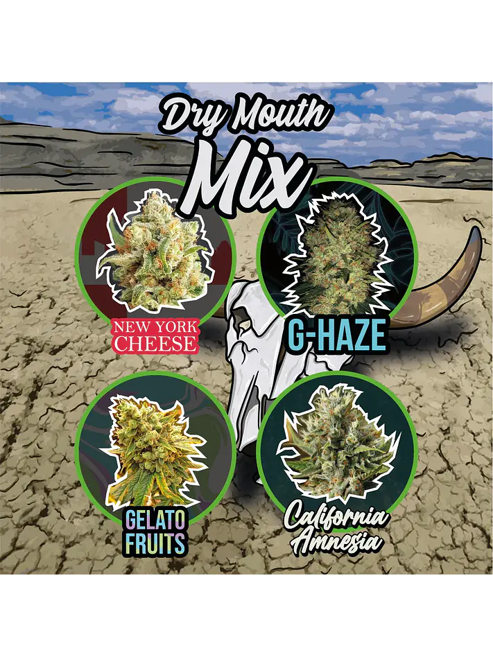 Mix Dry Mouth Line Auto - Delirium Seeds (X4/X14) 1