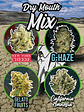 MIX DRY MOUTH LINE AUTO X14-DELIRIUM SEEDS - Miniatura 1