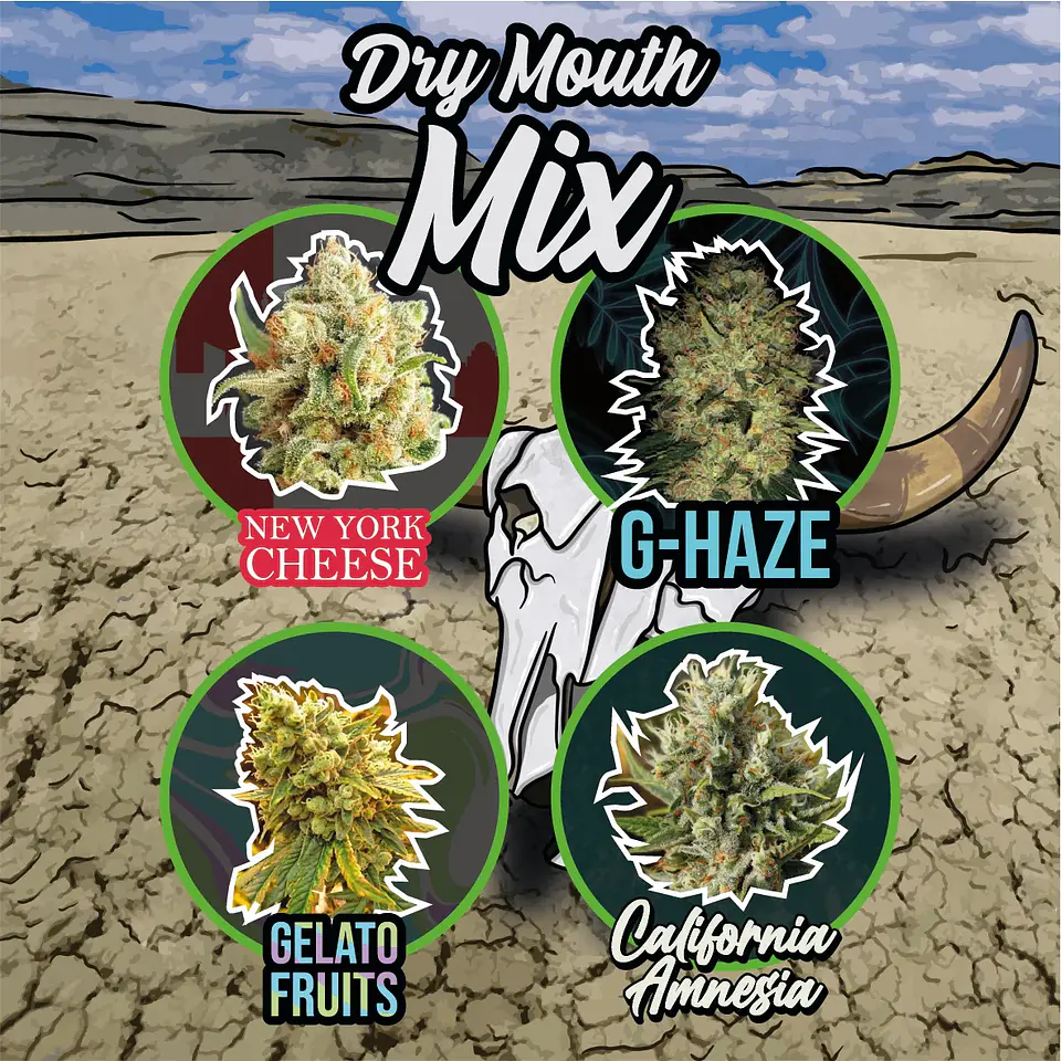 Mix Dry Mouth Line Auto (X4 / X8 / X14) -Delirium Seeds 1