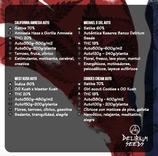 Mix Hollywood Vibe Auto X8-Delirium Seeds 2