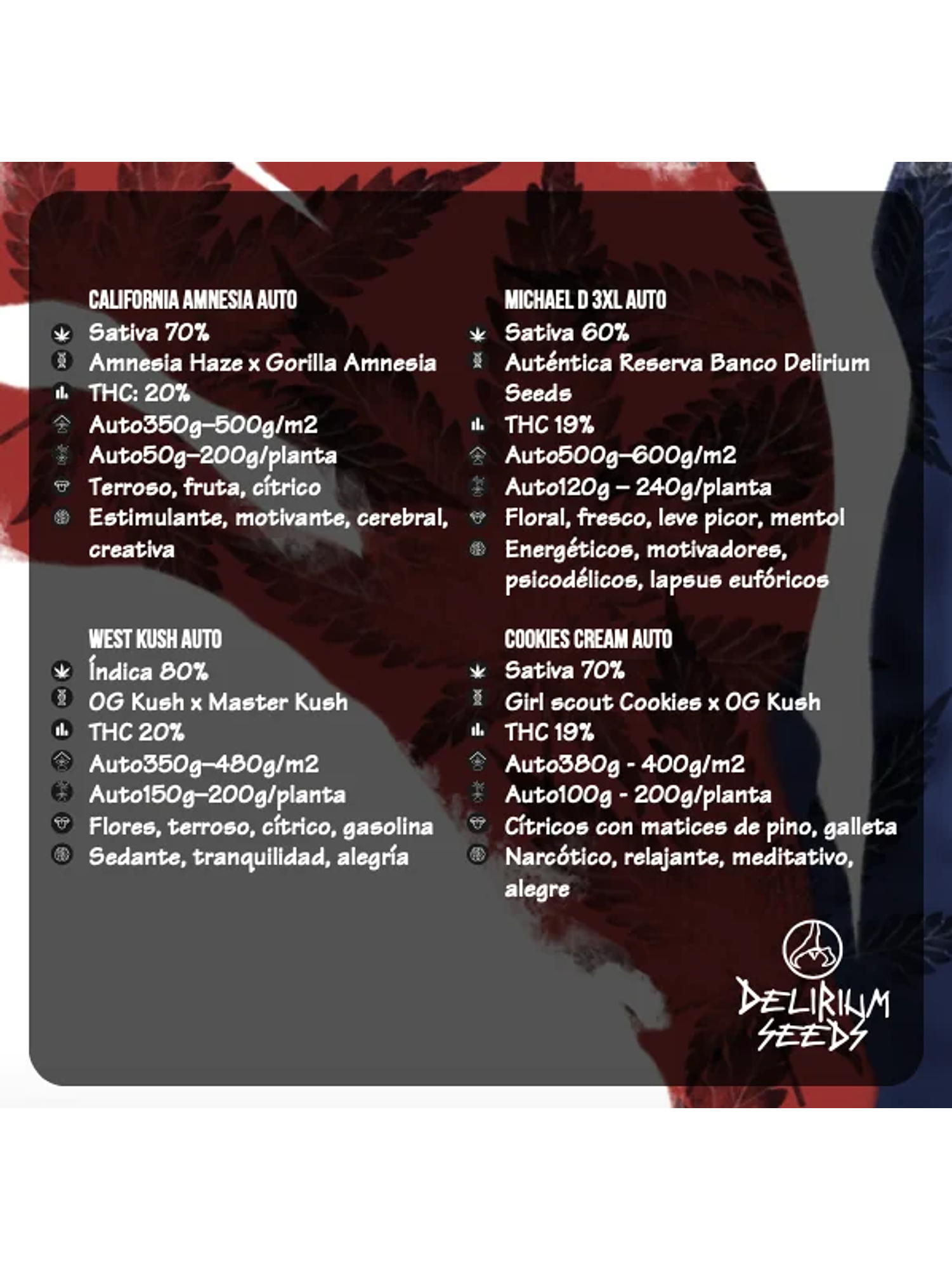 Mix Hollywood Vibe Auto X8-Delirium Seeds 2