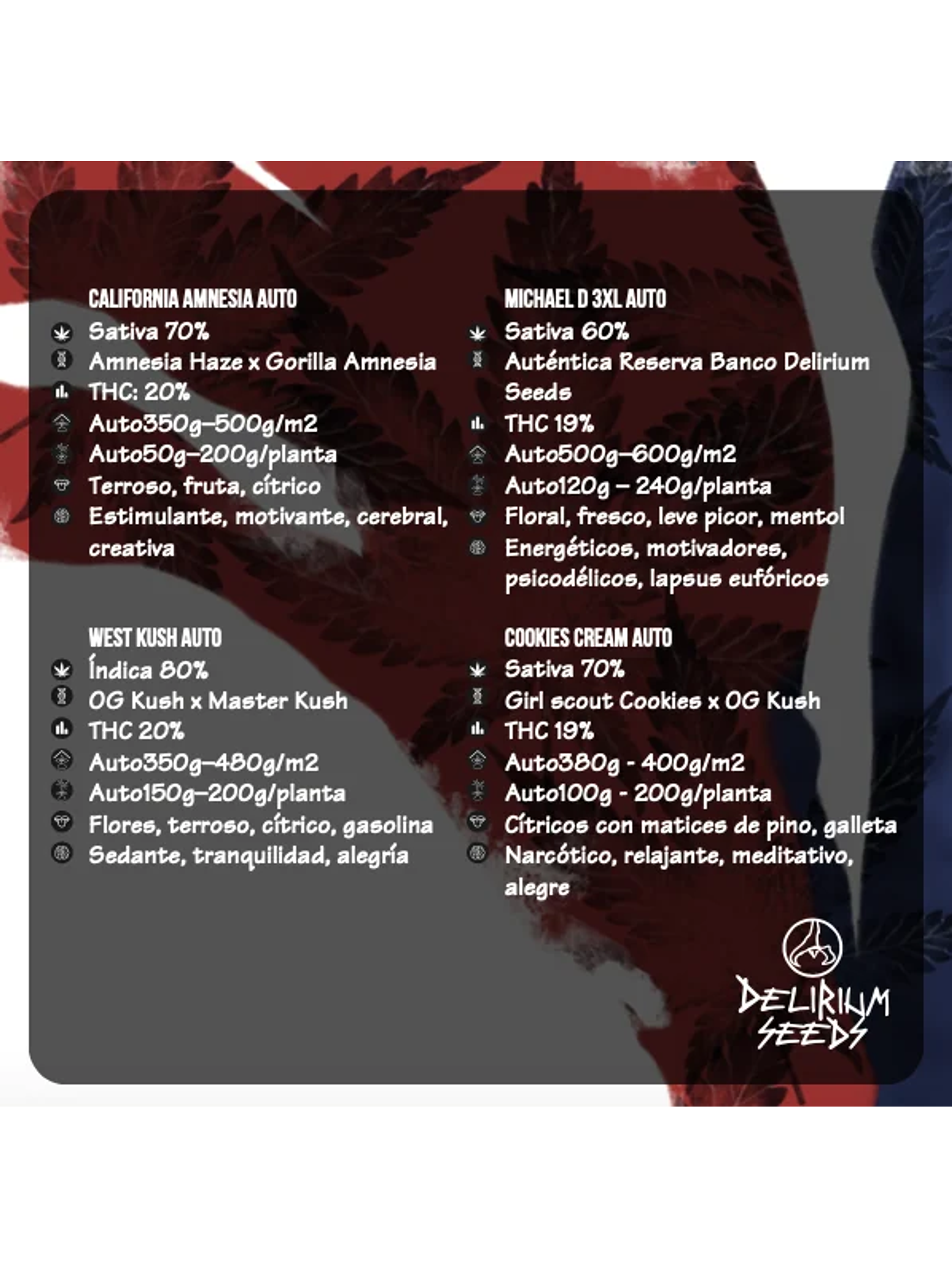 Mix Hollywood Vibe Auto X8-Delirium Seeds 2