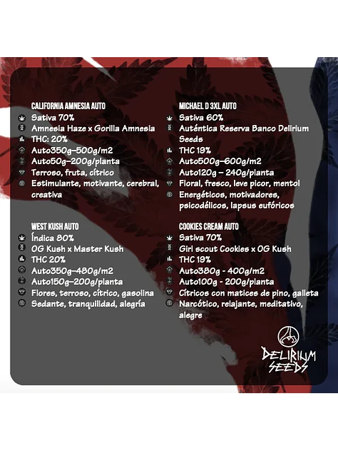 Mix Hollywood Vibe Auto X8-Delirium Seeds 2