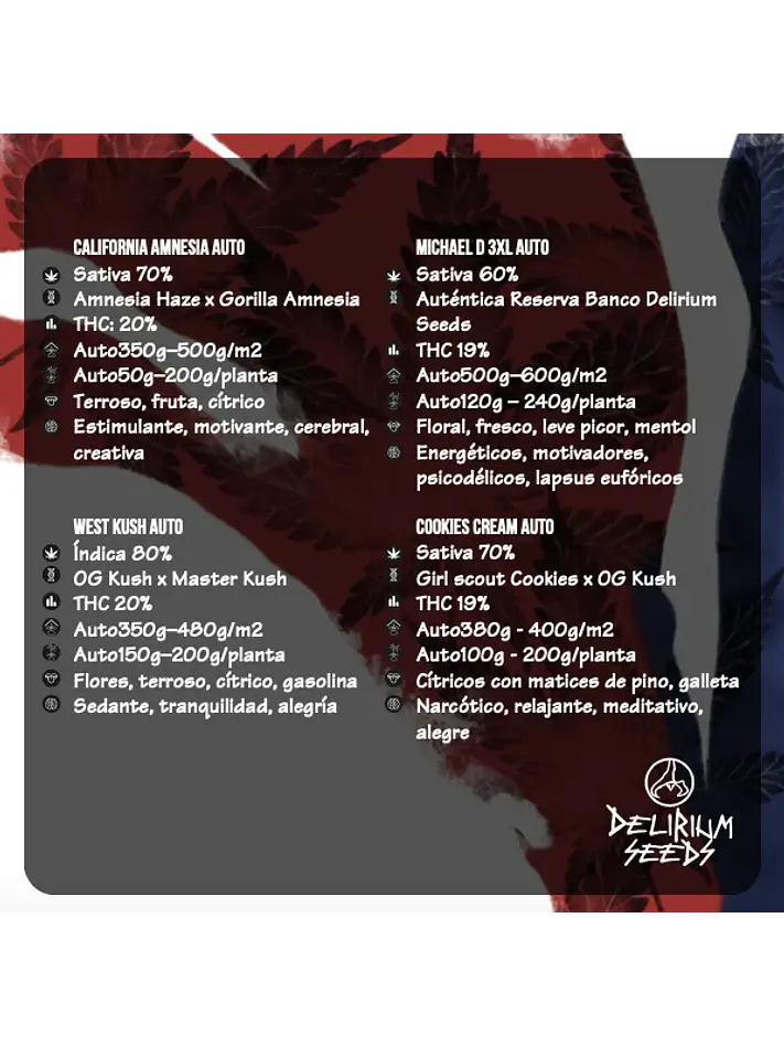 Mix Hollywood Vibe Auto X8-Delirium Seeds 2