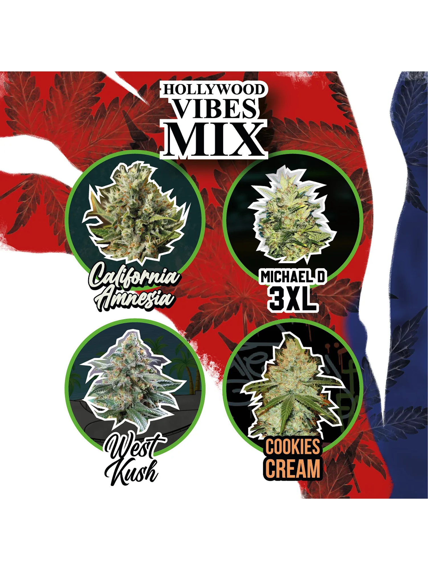 Mix Hollywood Vibe Auto X8-Delirium Seeds 1