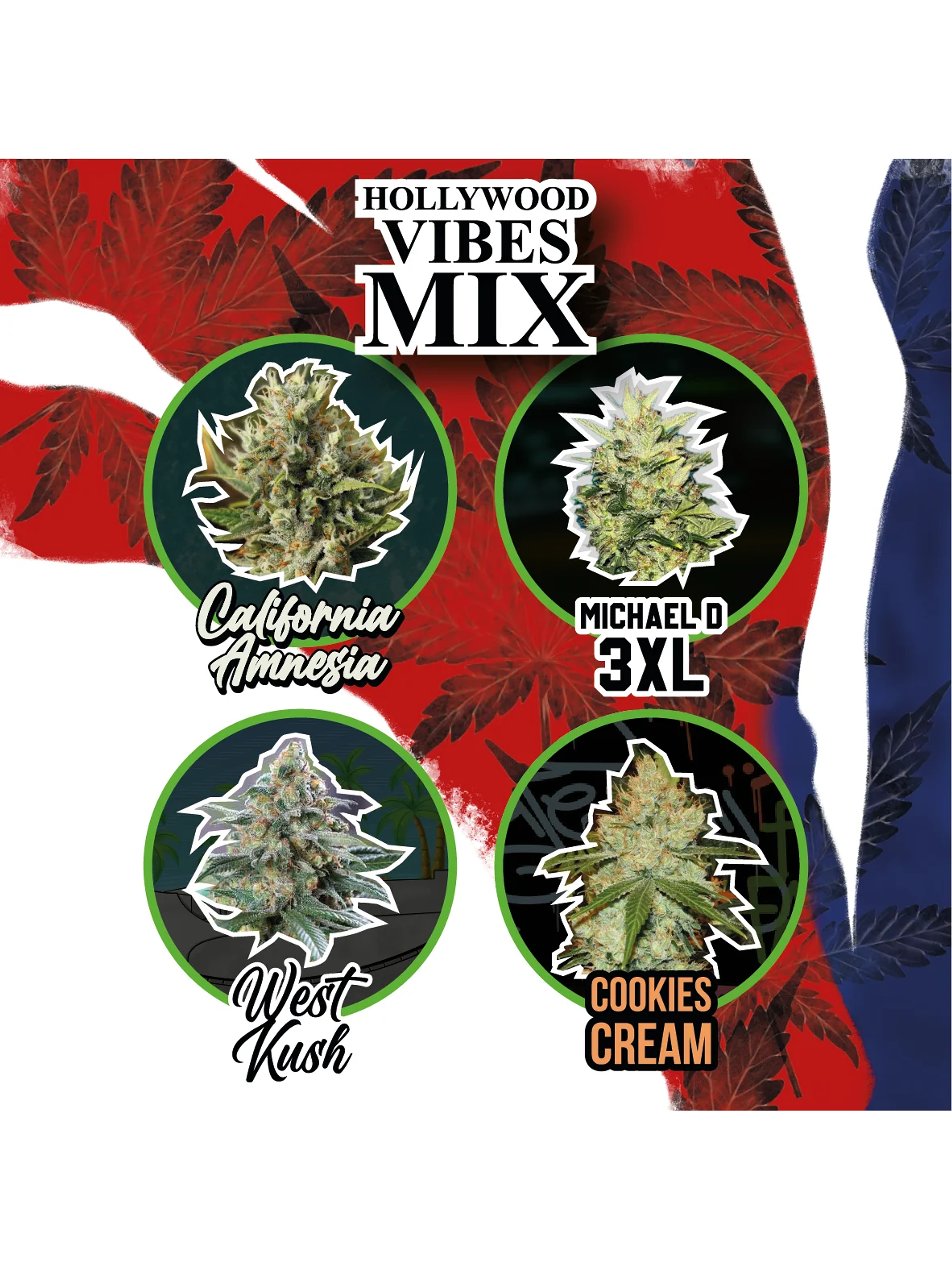 Mix Hollywood Vibe Auto X8-Delirium Seeds 1
