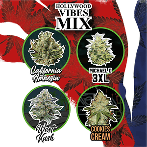 Mix Hollywood Vibe Auto X8-Delirium Seeds