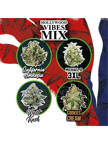 MIX HOLLYWOOD VIBE AUTO X8-DELIRIUM SEEDS 1
