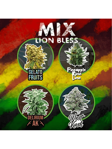 MIX LION BLESS AUTO X14-DELIRIUM SEEDS 1