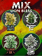 MIX LION BLESS AUTO X14-DELIRIUM SEEDS - Miniatura 1