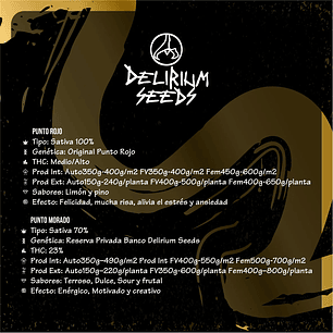 MIX LEYENDAS AUTO X4-DELIRIUM SEEDS