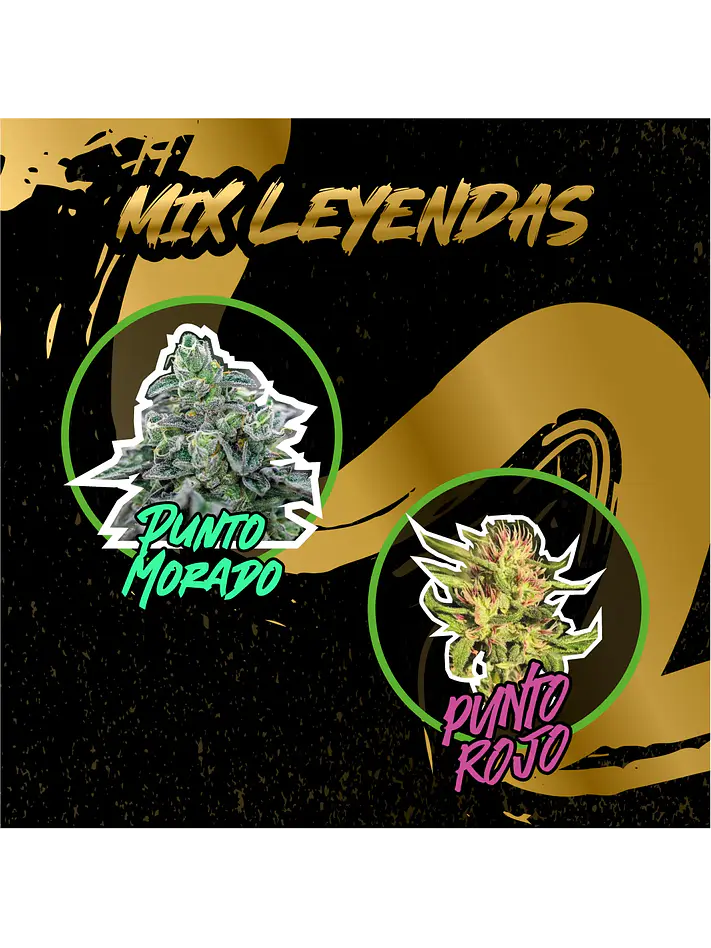 Mix Leyendas Fem -Delirium Seeds (X8/X4) 1