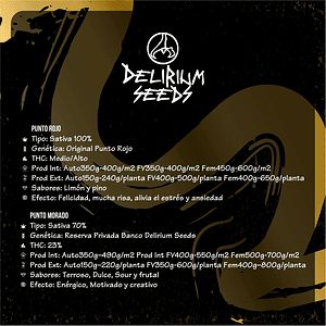 Mix Leyendas Fast Version X4-Delirium Seeds