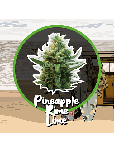 PINEAPPLE RIME LINE FAST VERSION X1-DELIRIUM SEEDS 1