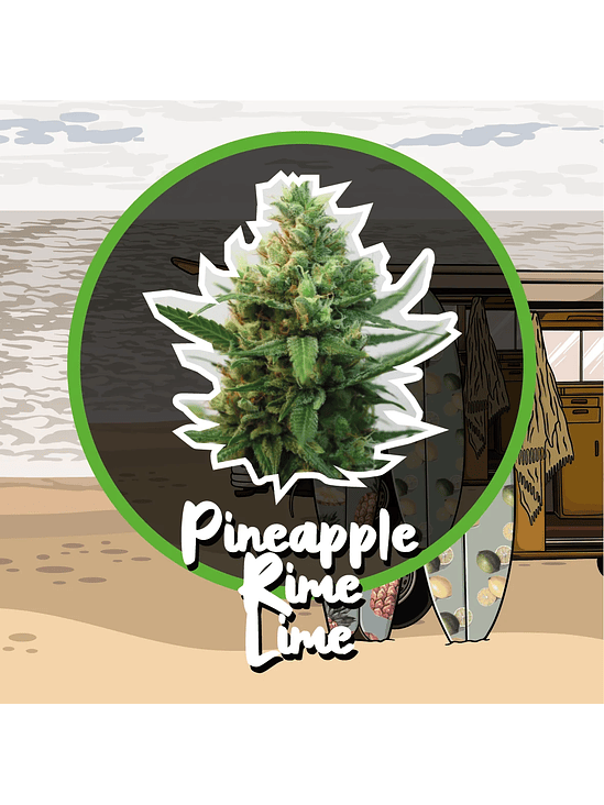 PINEAPPLE RIME LINE FAST VERSION X1-DELIRIUM SEEDS 1