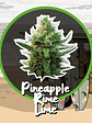 PINEAPPLE RIME LINE FAST VERSION X1-DELIRIUM SEEDS - Miniatura 1