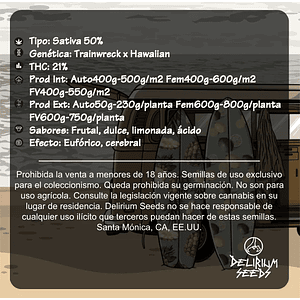 Pineapple Rime Line Fast Version -Delirium Seeds (X4/X1)