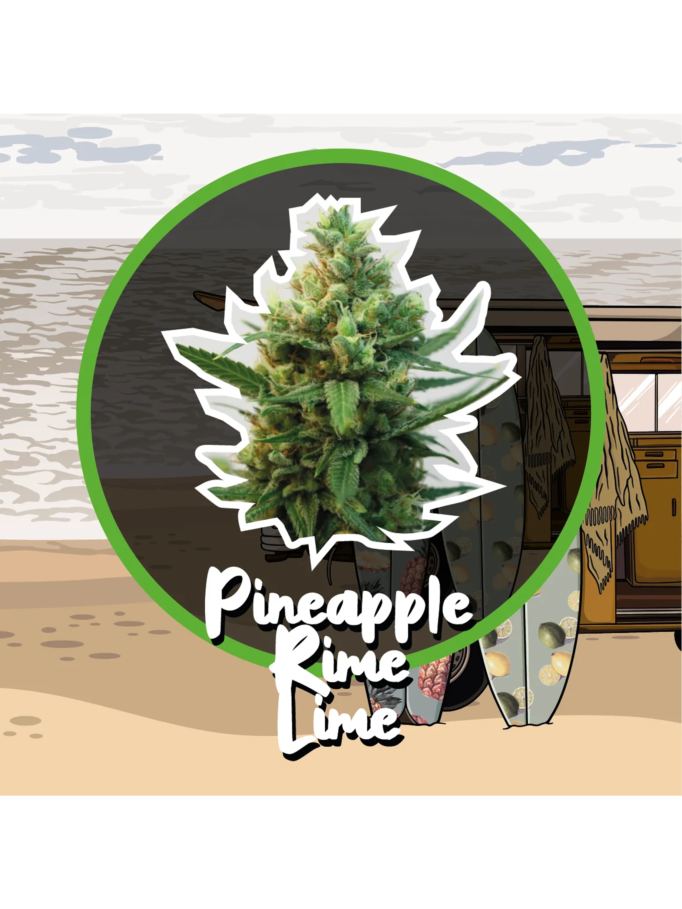 Pineapple Rime Line Fast Version -Delirium Seeds (X4/X1) 1