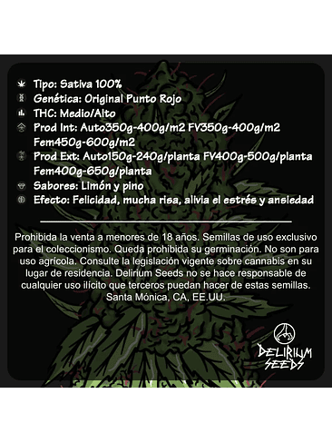 PUNTO ROJO AUTO X4-DELIRIUM SEEDS 2