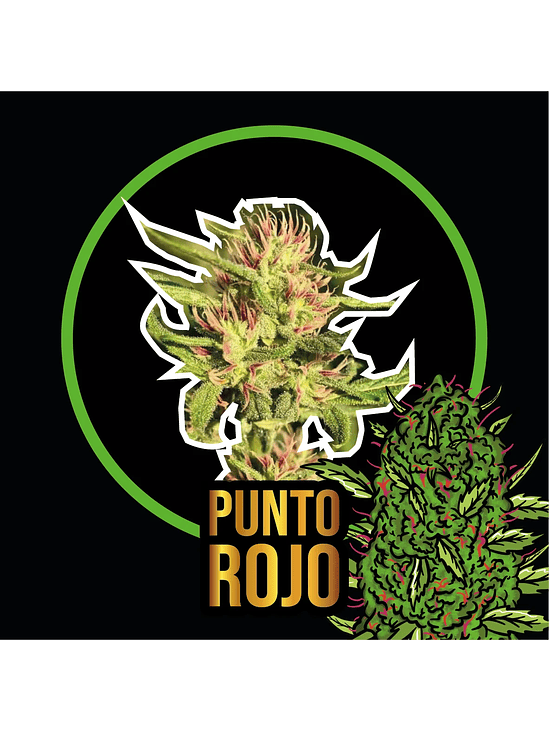 PUNTO ROJO FEM X1-DELIRIUM SEEDS 1