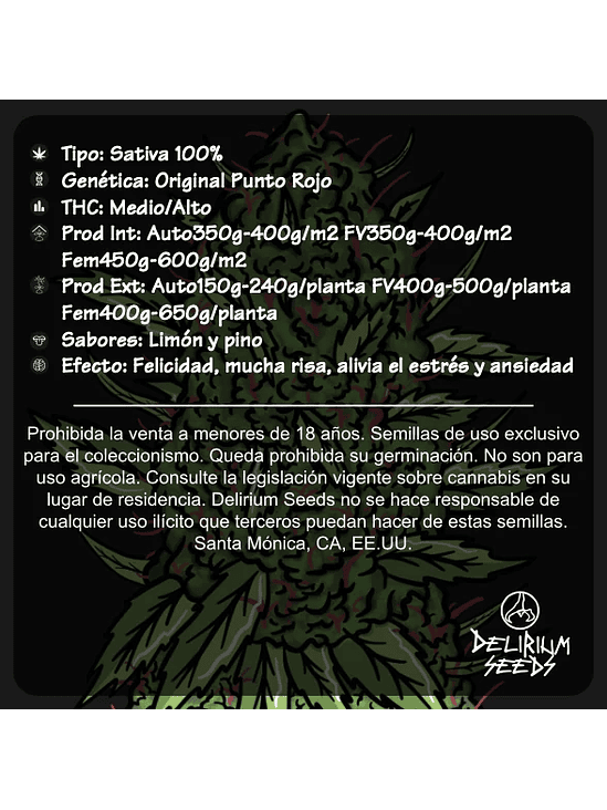 PUNTO ROJO FAST VERSION X4-DELIRIUM SEEDS 2