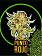 PUNTO ROJO FAST VERSION X4-DELIRIUM SEEDS - Miniatura 1