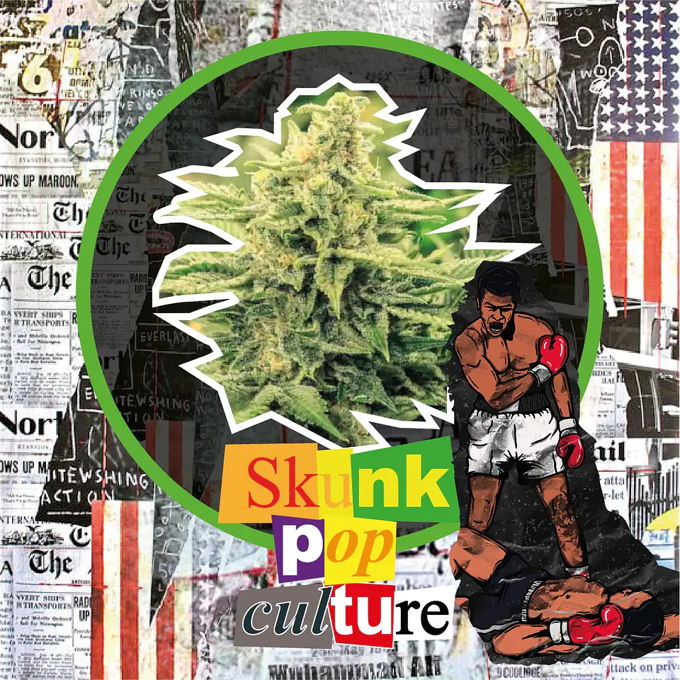 Skunk Pop Culture Auto -Delirium Seeds (X4/X2/X1) 1