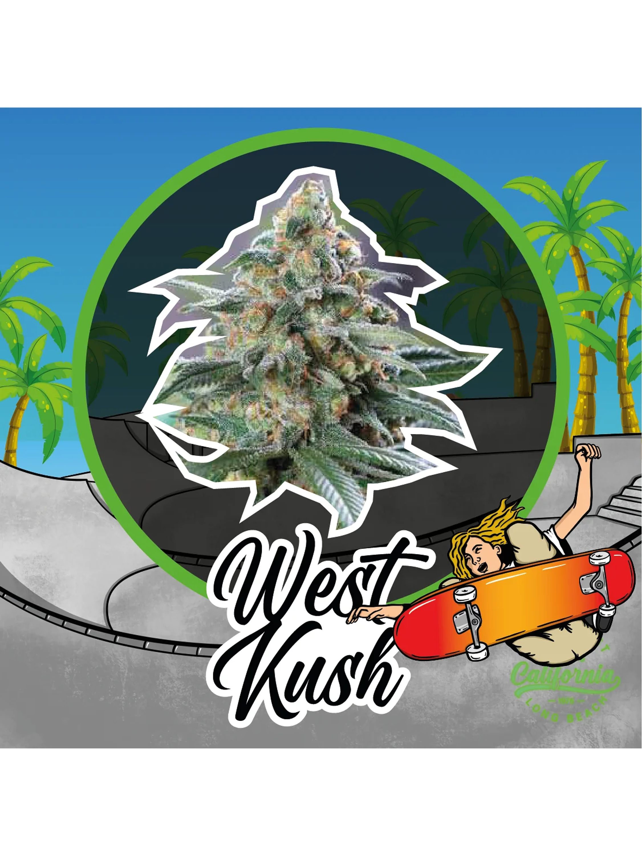 West Kush Auto -Delirium Seeds (X4/X2/X1) 1