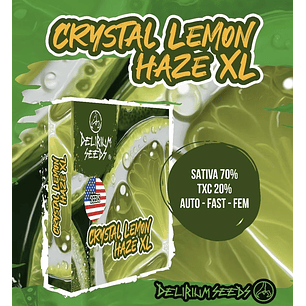 CRYSTAL LEMON HAZE XL AUTO X4-DELIRIUM SEEDS