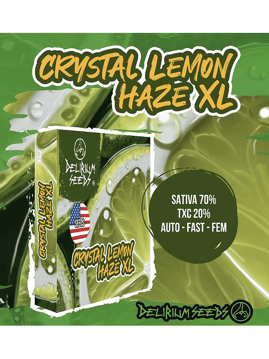 CRYSTAL LEMON HAZE XL AUTO X4-DELIRIUM SEEDS 2