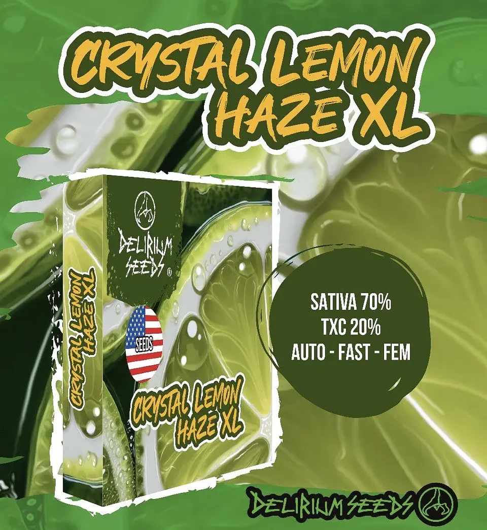 Crystal Lemon Haze Xl Auto -Delirium Seeds (X4/X2/X1) 2
