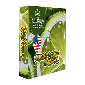 Crystal Lemon Haze Xl Fem -Delirium Seeds (X4/X2/X1)